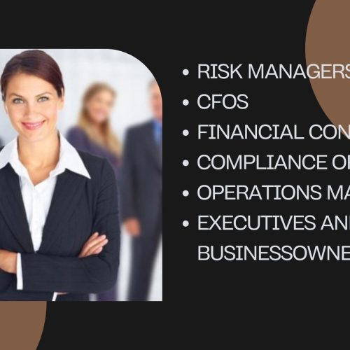 Risk Μanagers CFOs Financial Controllers Compliance Officers Operations Managers Executives and Business Owners